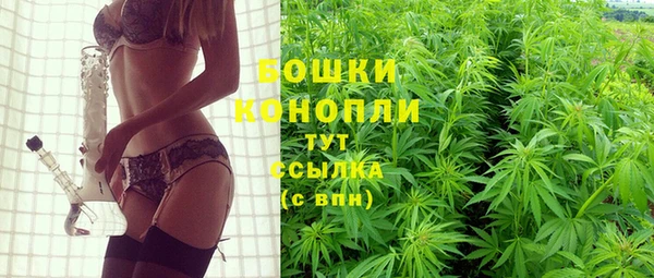 PSILOCYBIN Нестеровская