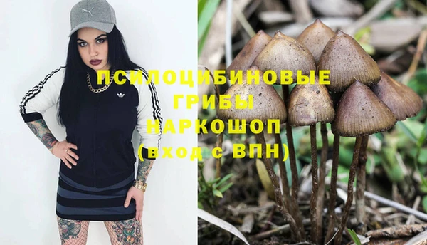 прущий лед Зеленодольск