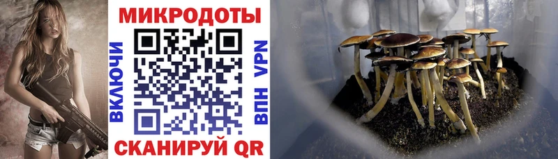 Галлюциногенные грибы MAGIC MUSHROOMS  Среднеуральск 