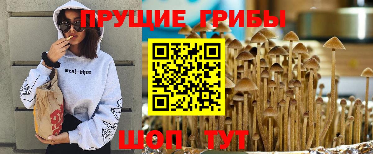 Галлюциногенные грибы Magic Shrooms  Галлюциногенные грибы Cubensis  Среднеуральск  Вход с VPN 